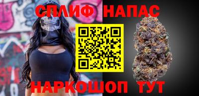 крисы Кулебаки