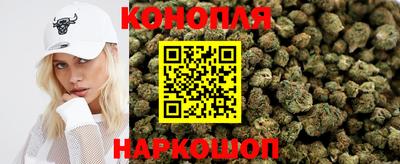 крисы Кулебаки